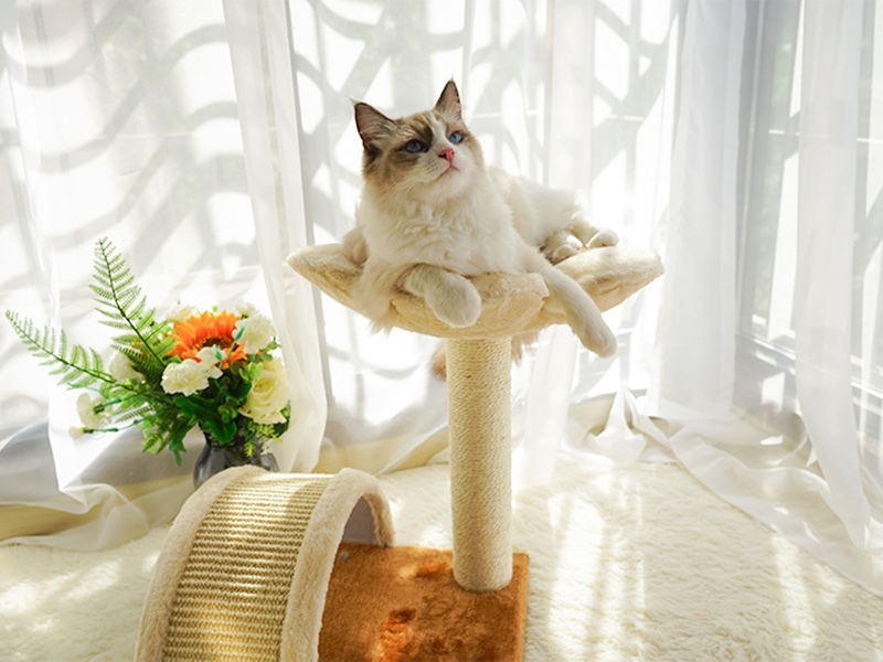 ZezeLife Cream Color Flower Cat Tree, view 3