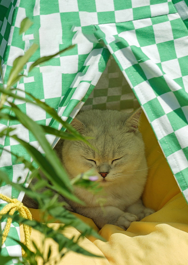 ZezeLife Green Lattice Cat Teepee Bed, view 5