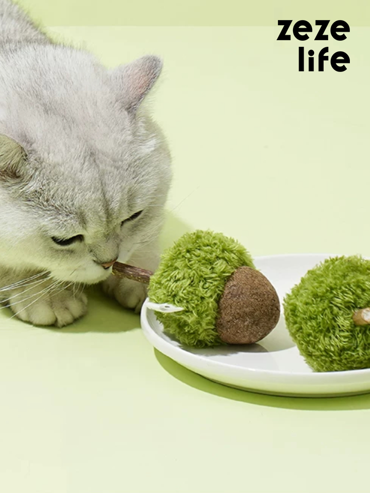 ZezeLife Acorn Catnip Cat Toy
