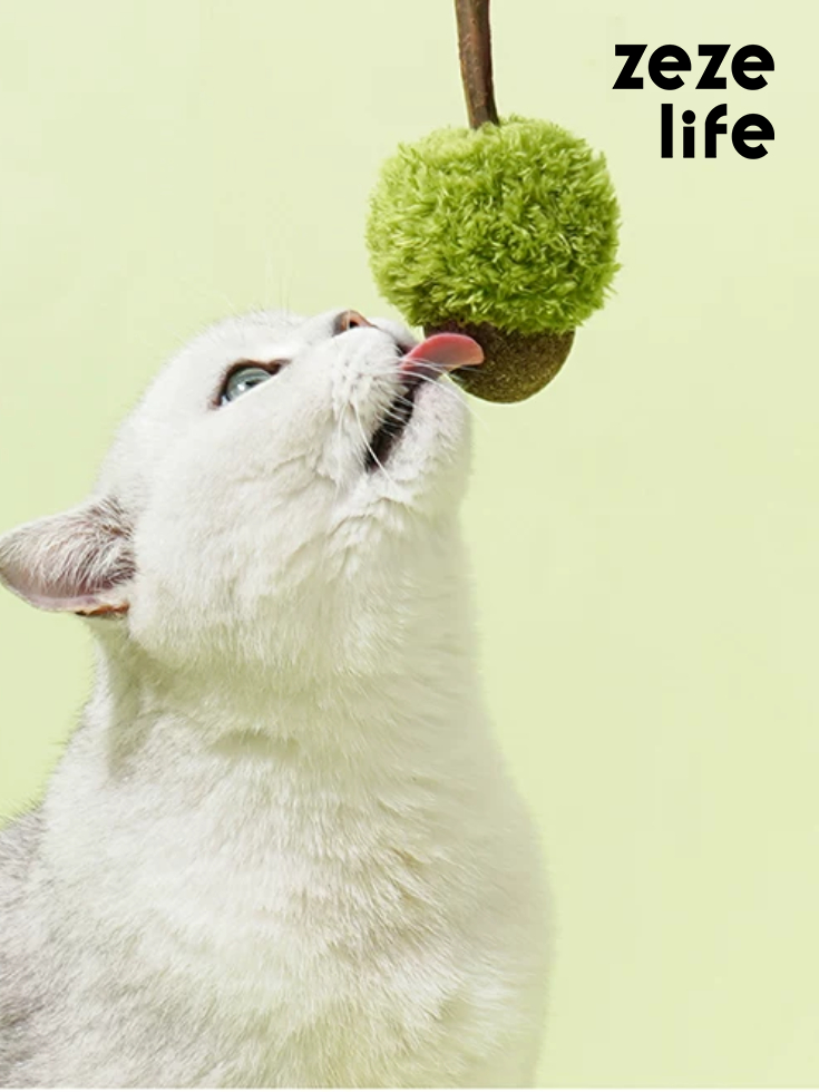 ZezeLife Acorn Catnip Cat Toy, view 2