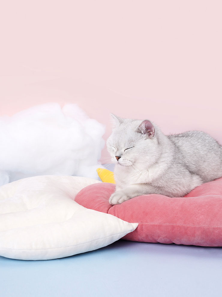 ZezeLife Angle Cat Bed, view 6