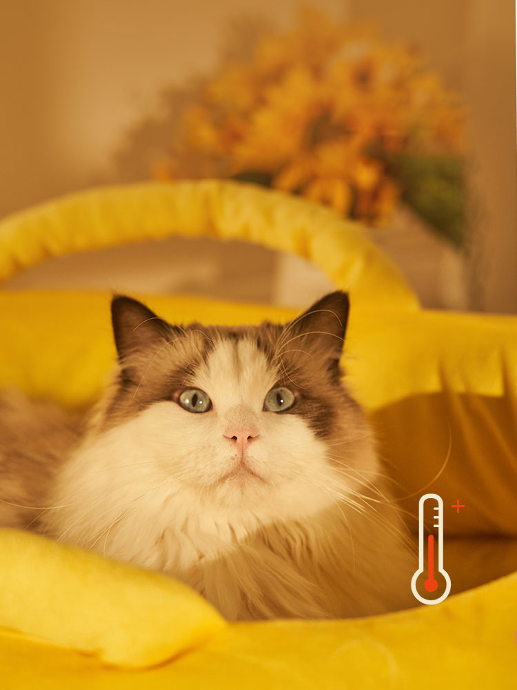 ZezeLife Banana Cat Bed, view 3