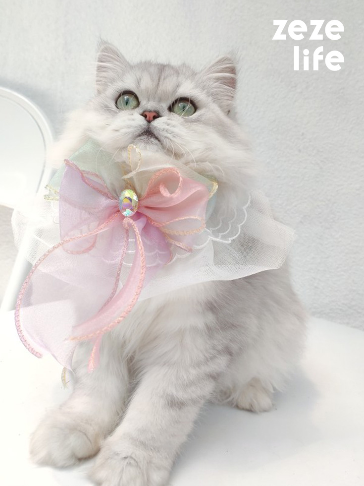 ZezeLife Big Bow Cat Bib