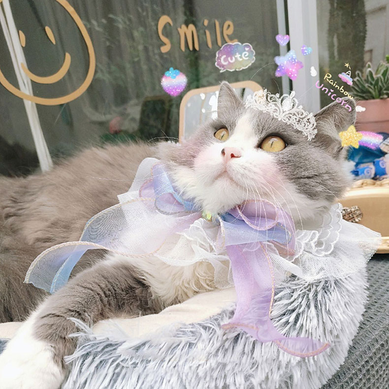 ZezeLife Big Bow Cat Bib, view 4