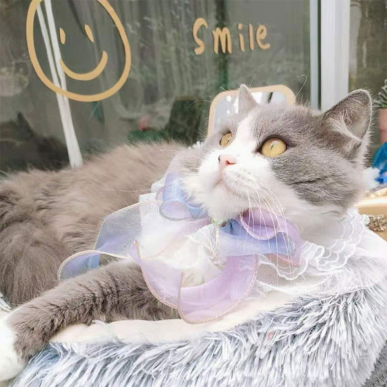 ZezeLife Big Bow Cat Bib, view 5