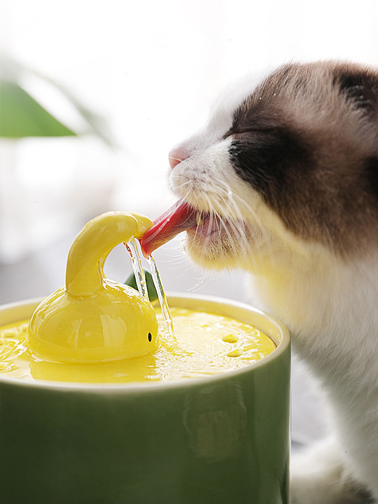 ZezeLife Bunny Ceramic Cat Water Fountain, view 2