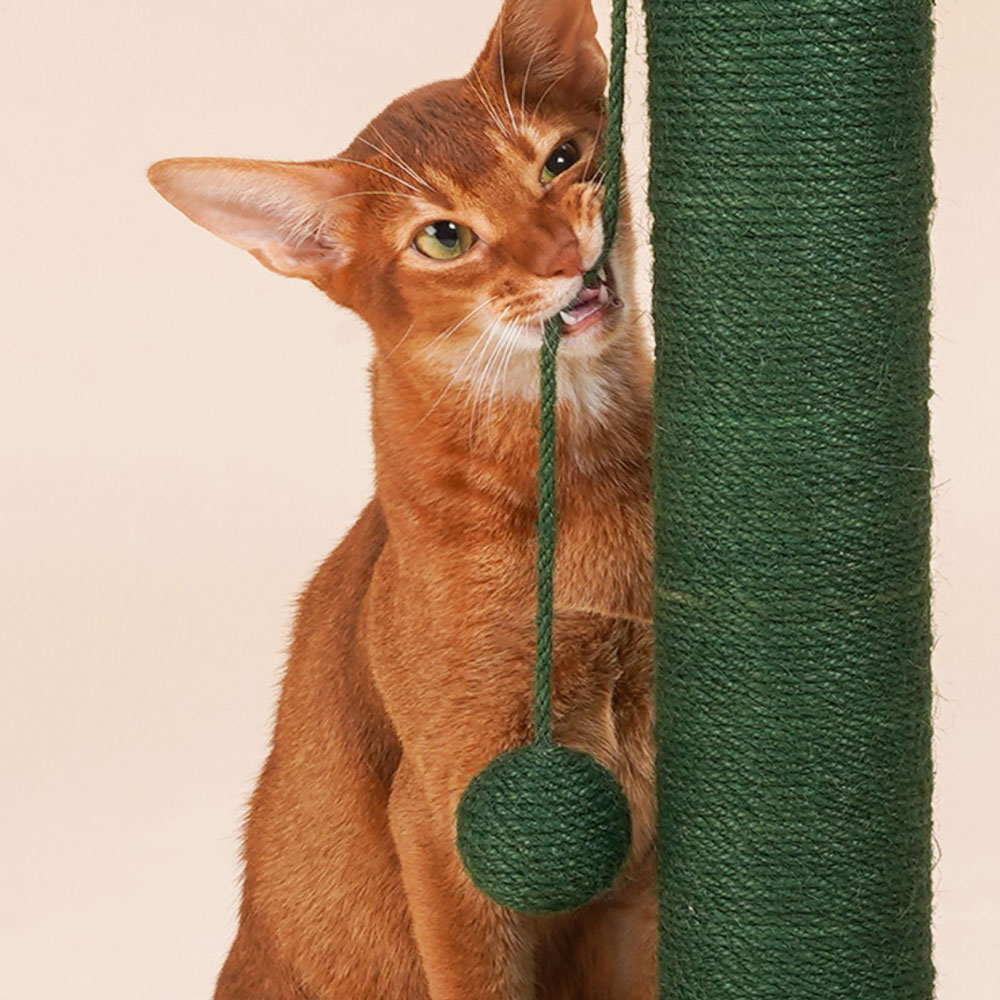 ZezeLife Cactus Cat Scratching Post, view 3