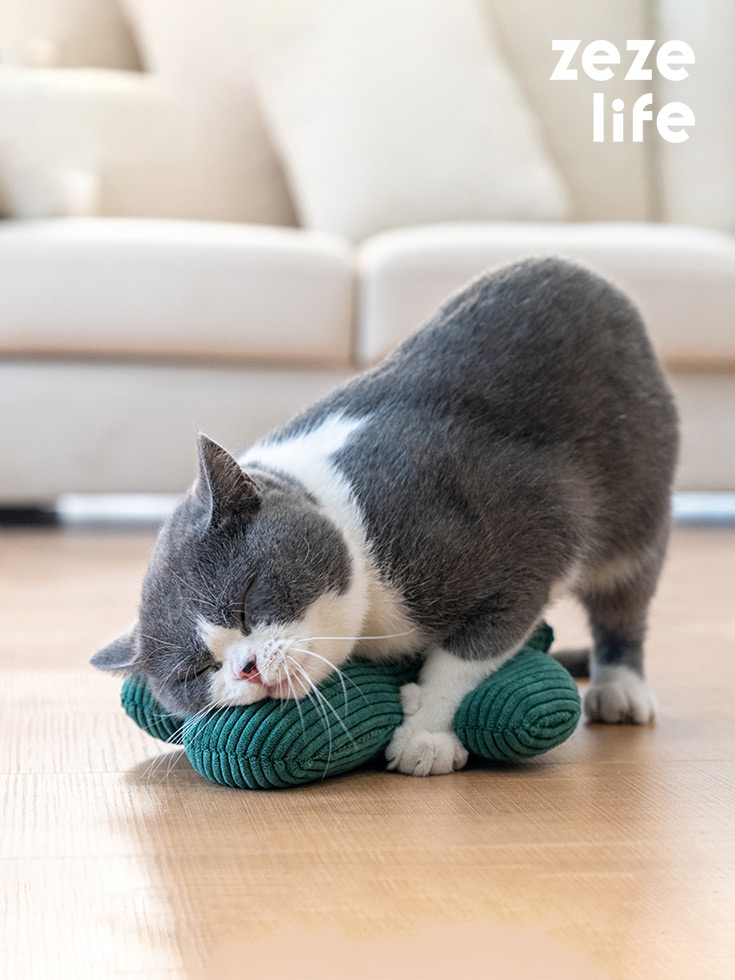 ZezeLife Cactus Catnip Cat Toy, view 2