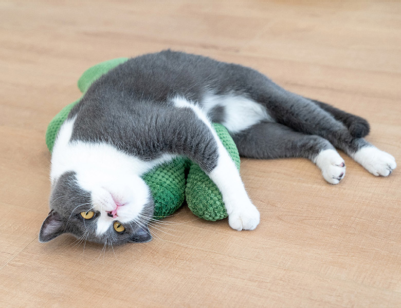 ZezeLife Cactus Catnip Cat Toy, view 3