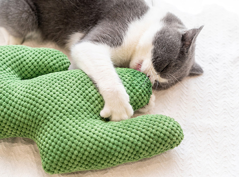 ZezeLife Cactus Catnip Cat Toy, view 4