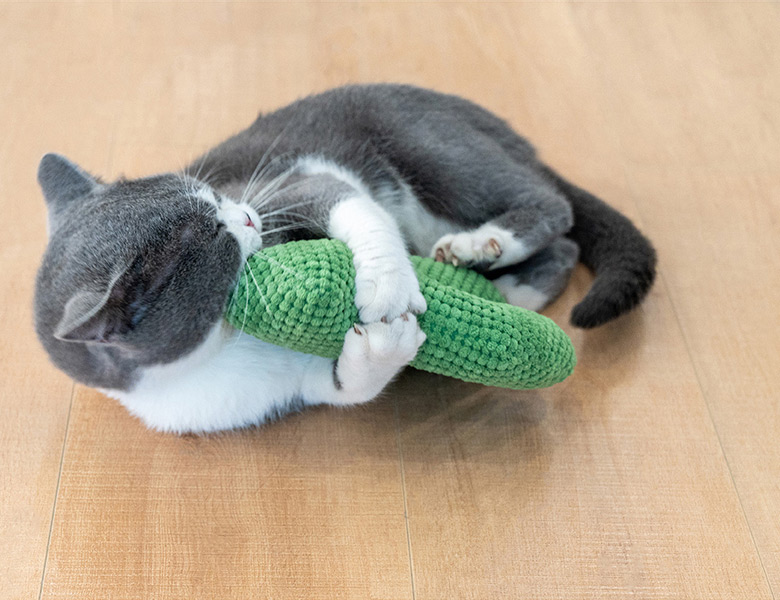 ZezeLife Cactus Catnip Cat Toy, view 5