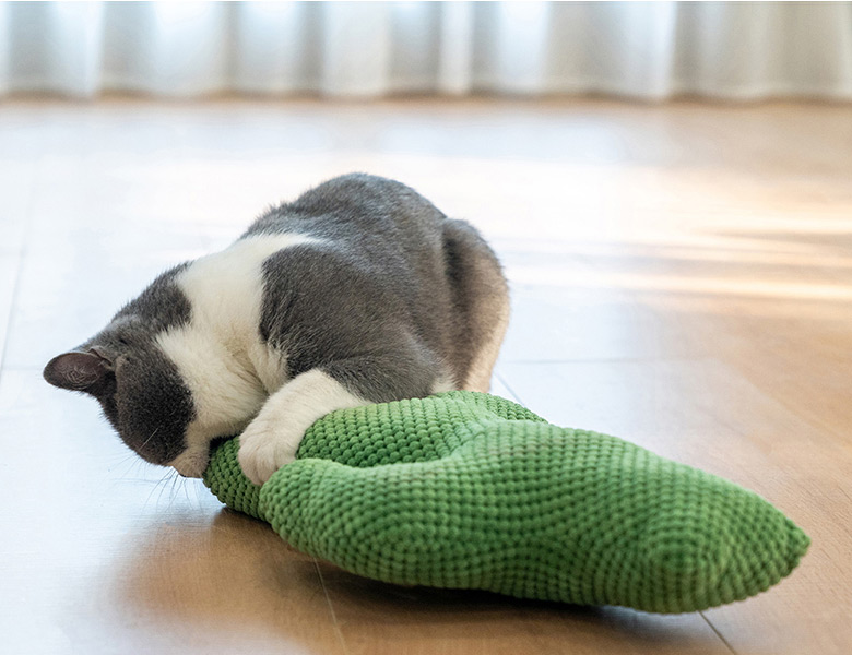 ZezeLife Cactus Catnip Cat Toy, view 6