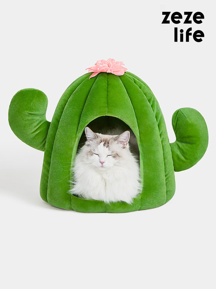 ZezeLife Cactus Mini Cat Bed