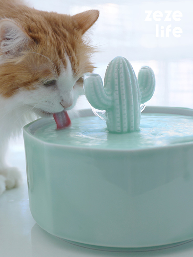 ZezeLife Cactus Style Cat Water Fountain
