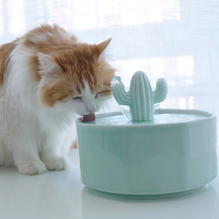 ZezeLife Cactus Style Cat Water Fountain, view 5