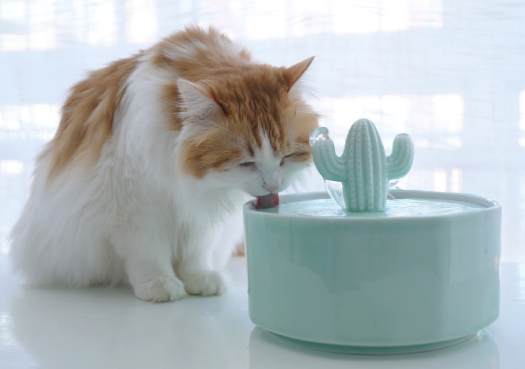ZezeLife Cactus Style Cat Water Fountain, view 6