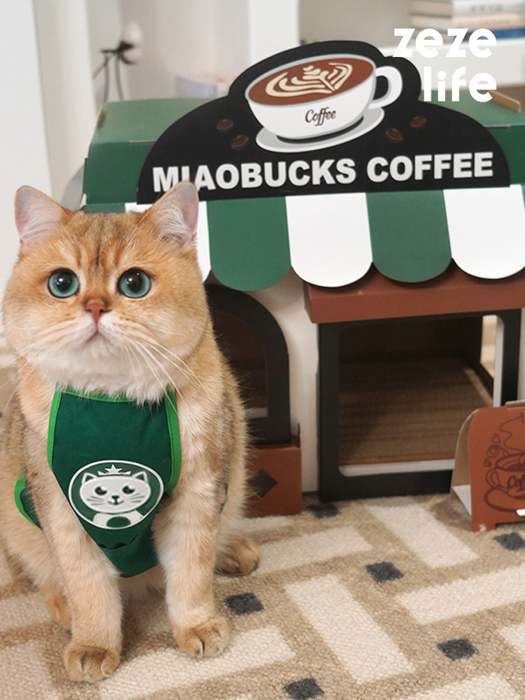 ZezeLife Café Cardboard Cat House, view 2