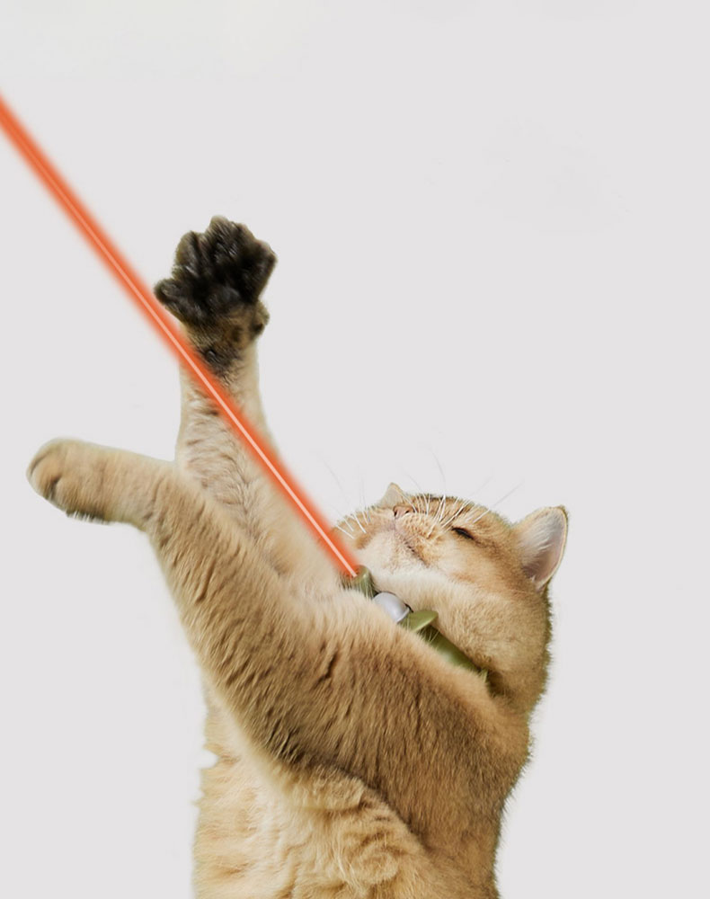 ZezeLife Candy Cat Laser Collar, view 3