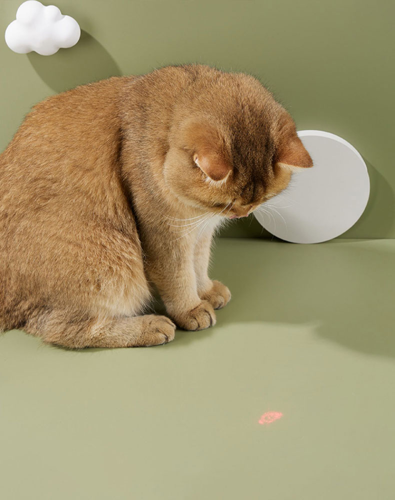 ZezeLife Candy Cat Laser Collar, view 4