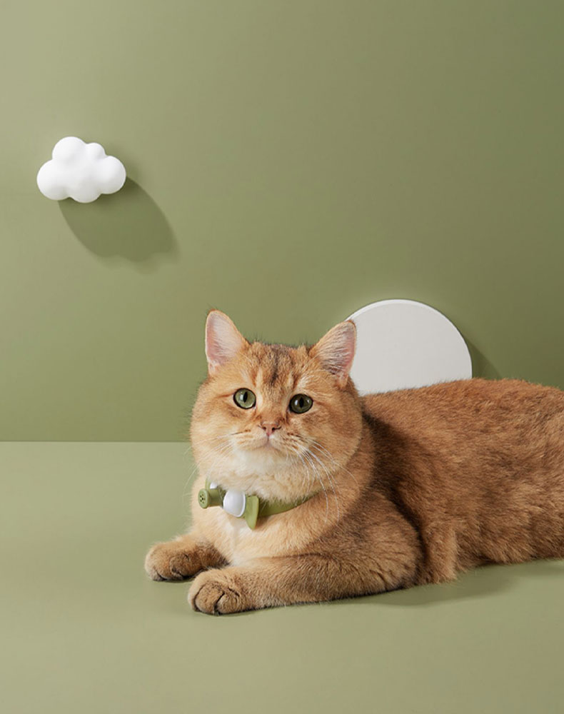 ZezeLife Candy Cat Laser Collar, view 5