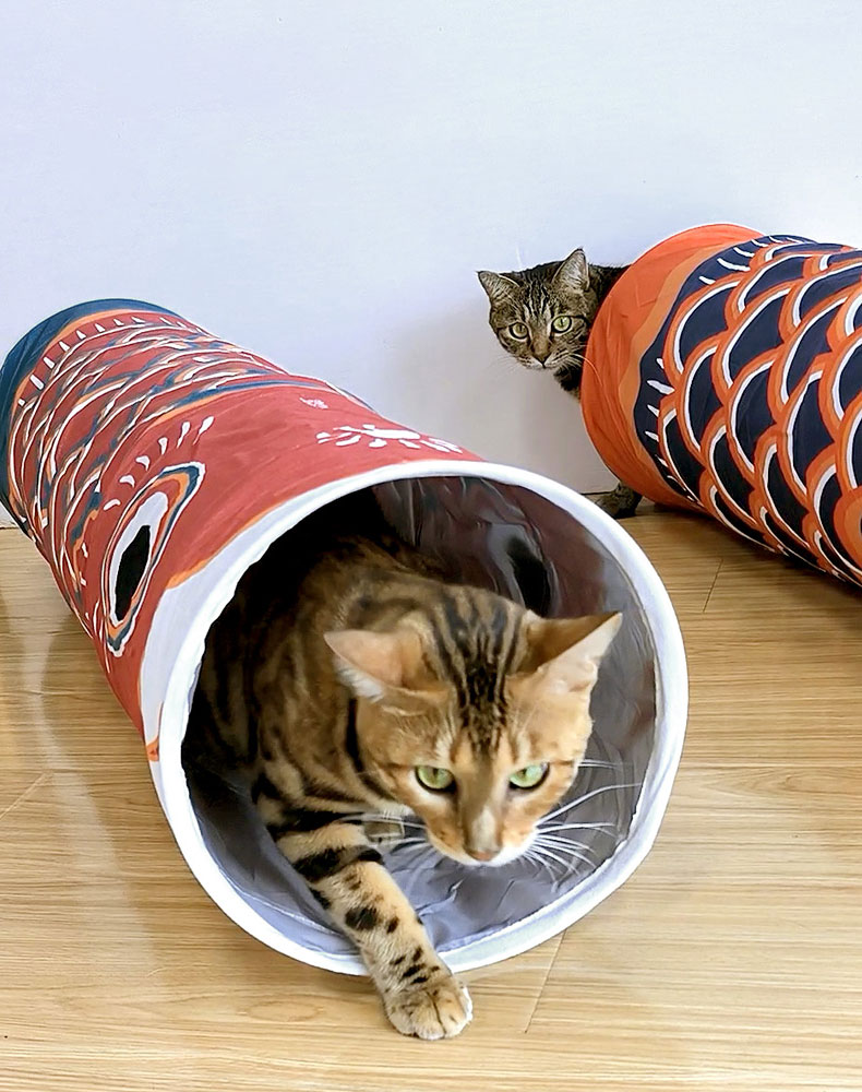 ZezeLife Carp Streamer Cat Tunnel, view 4