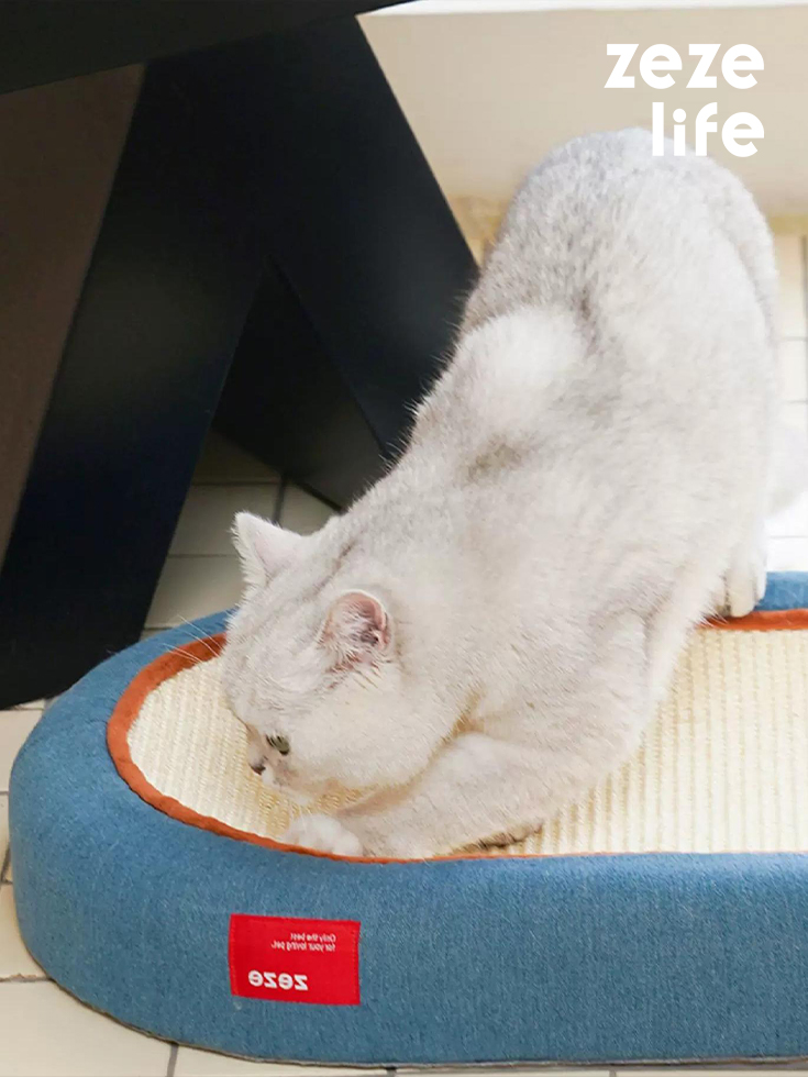 ZezeLife Cat Bed & Scratching Board Toy, view 2