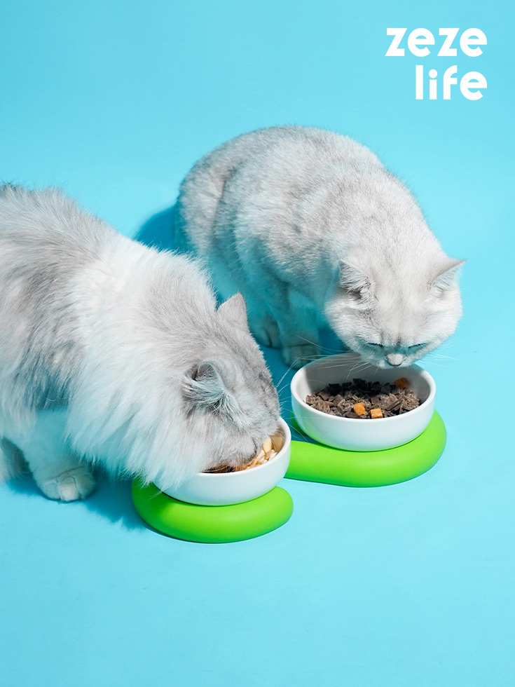 ZezeLife Ceramic Silicone Cat Bowl