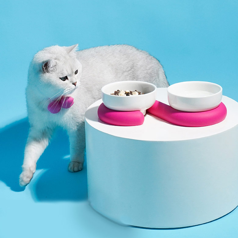 ZezeLife Ceramic Silicone Cat Bowl, view 6