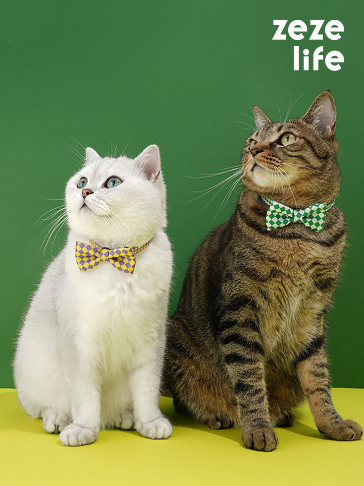 ZezeLife Checkerboard Cat Collar