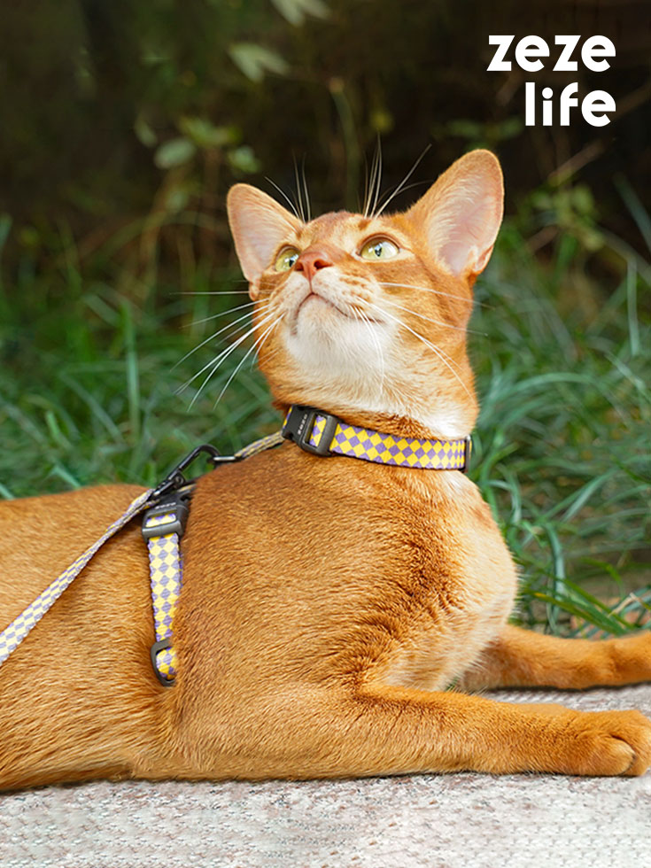 ZezeLife Checkerboard Cat Harness and Leash, view 2