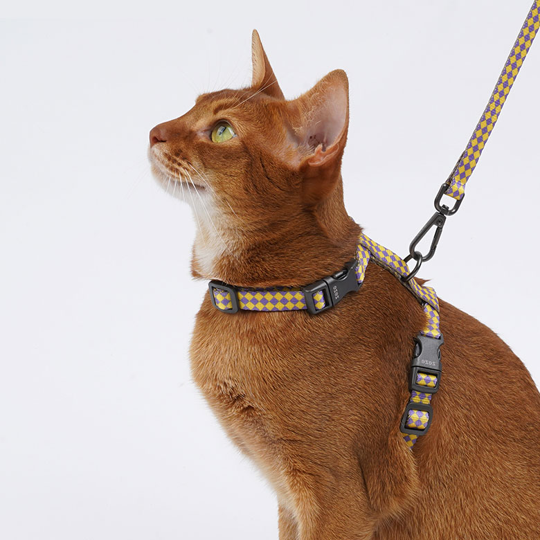 ZezeLife Checkerboard Cat Harness and Leash, view 3