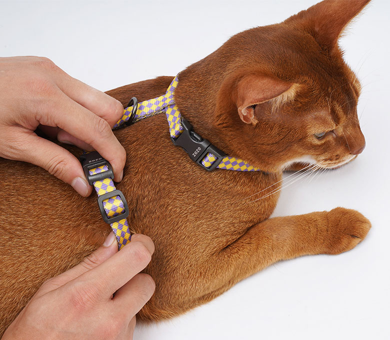 ZezeLife Checkerboard Cat Harness and Leash, view 5