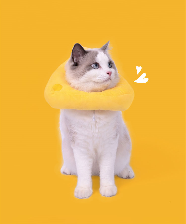ZezeLife Cheese Cat Cone, view 3