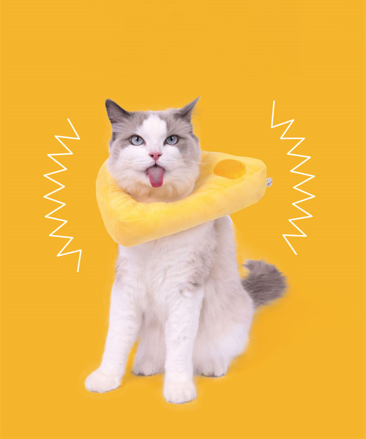 ZezeLife Cheese Cat Cone, view 5