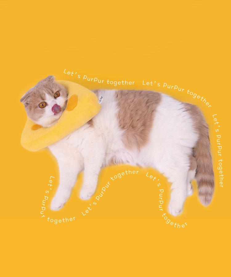 ZezeLife Cheese Cat Cone, view 6