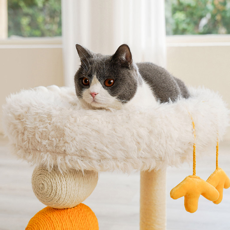 ZezeLife Chick Cluck Cat Bed, view 6