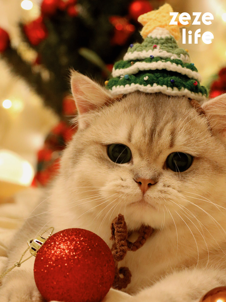 ZezeLife Christmas Hat Cat Clothes