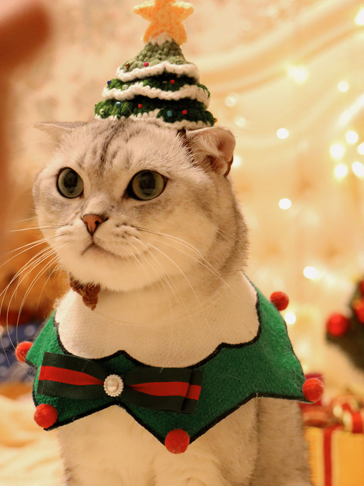 ZezeLife Christmas Hat Cat Clothes, view 4