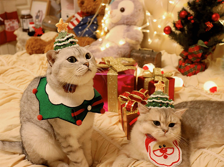 ZezeLife Christmas Hat Cat Clothes, view 5