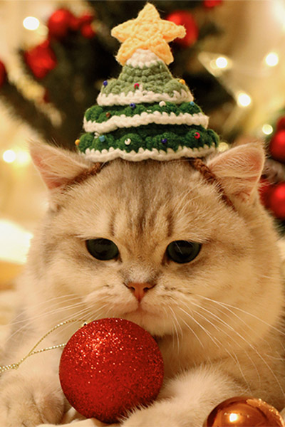 ZezeLife Christmas Hat Cat Clothes, view 6