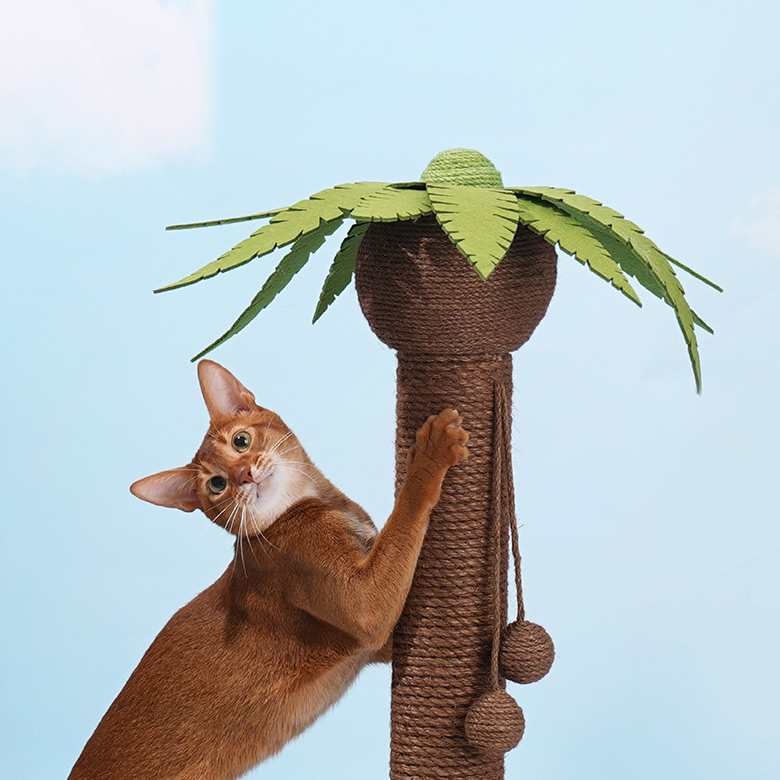 ZezeLife Coconut Palm Tree Cat Scratcher, view 5