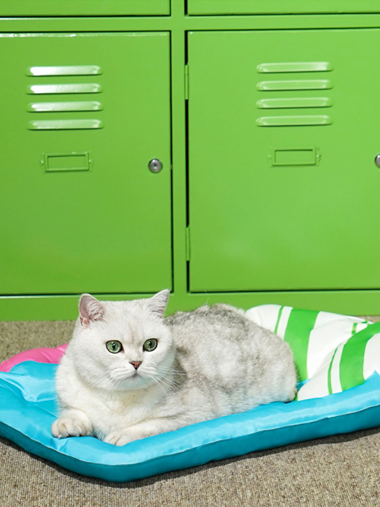 ZezeLife Colorful Beer Pet Cooling Mat, view 3