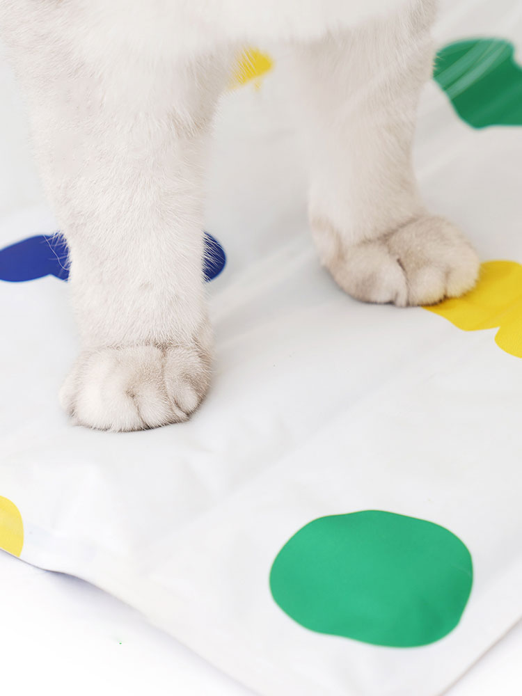 ZezeLife Colorful Candy Cooling Mat For Cats, view 5