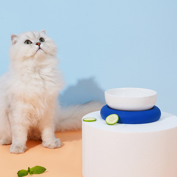 ZezeLife Colorful Ceramic Cat Bowl, view 4