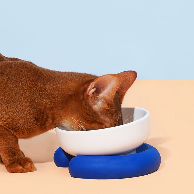 ZezeLife Colorful Ceramic Cat Bowl, view 5