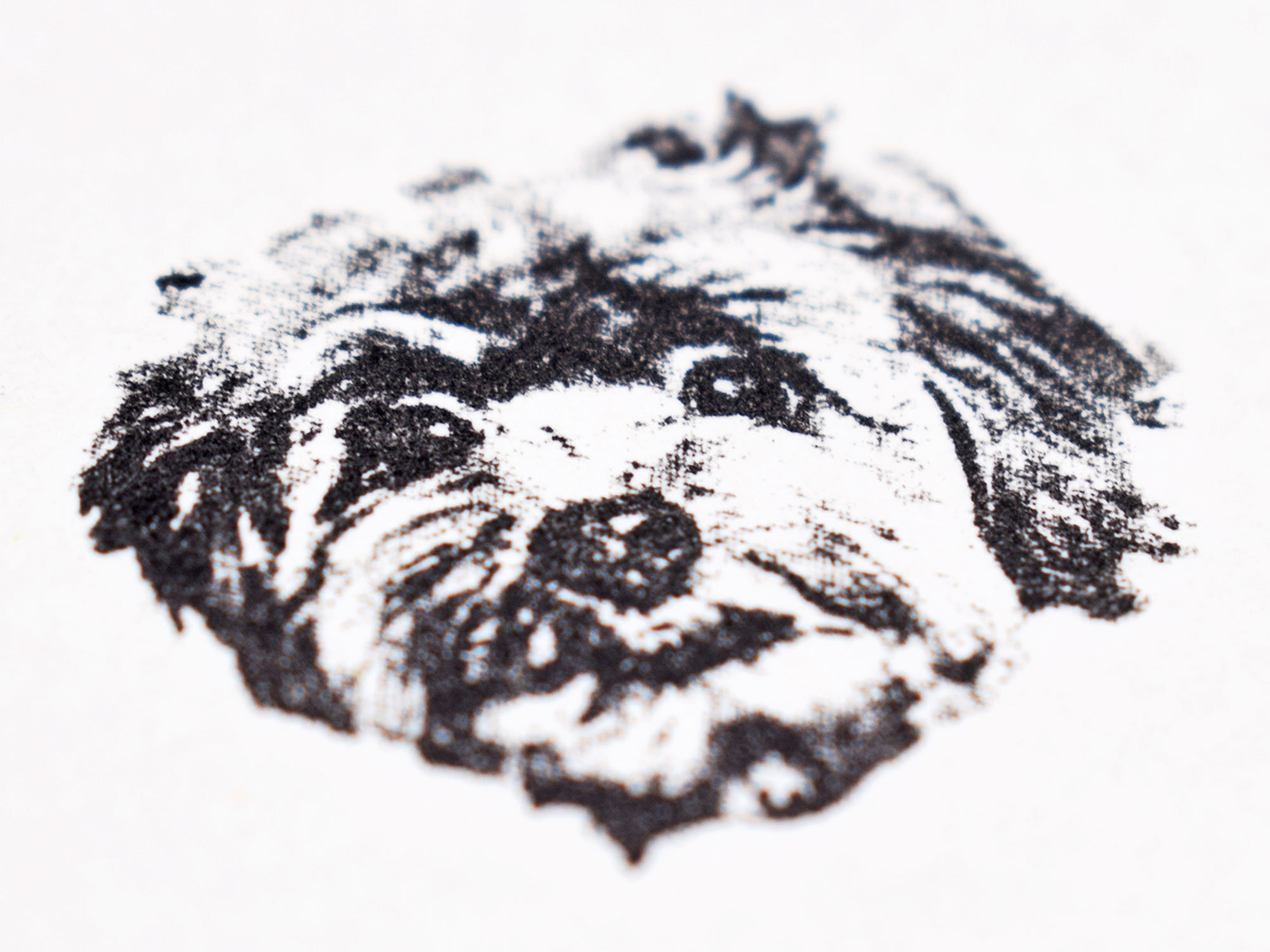 ZezeLife Custom Pet Portrait Stamp, view 5