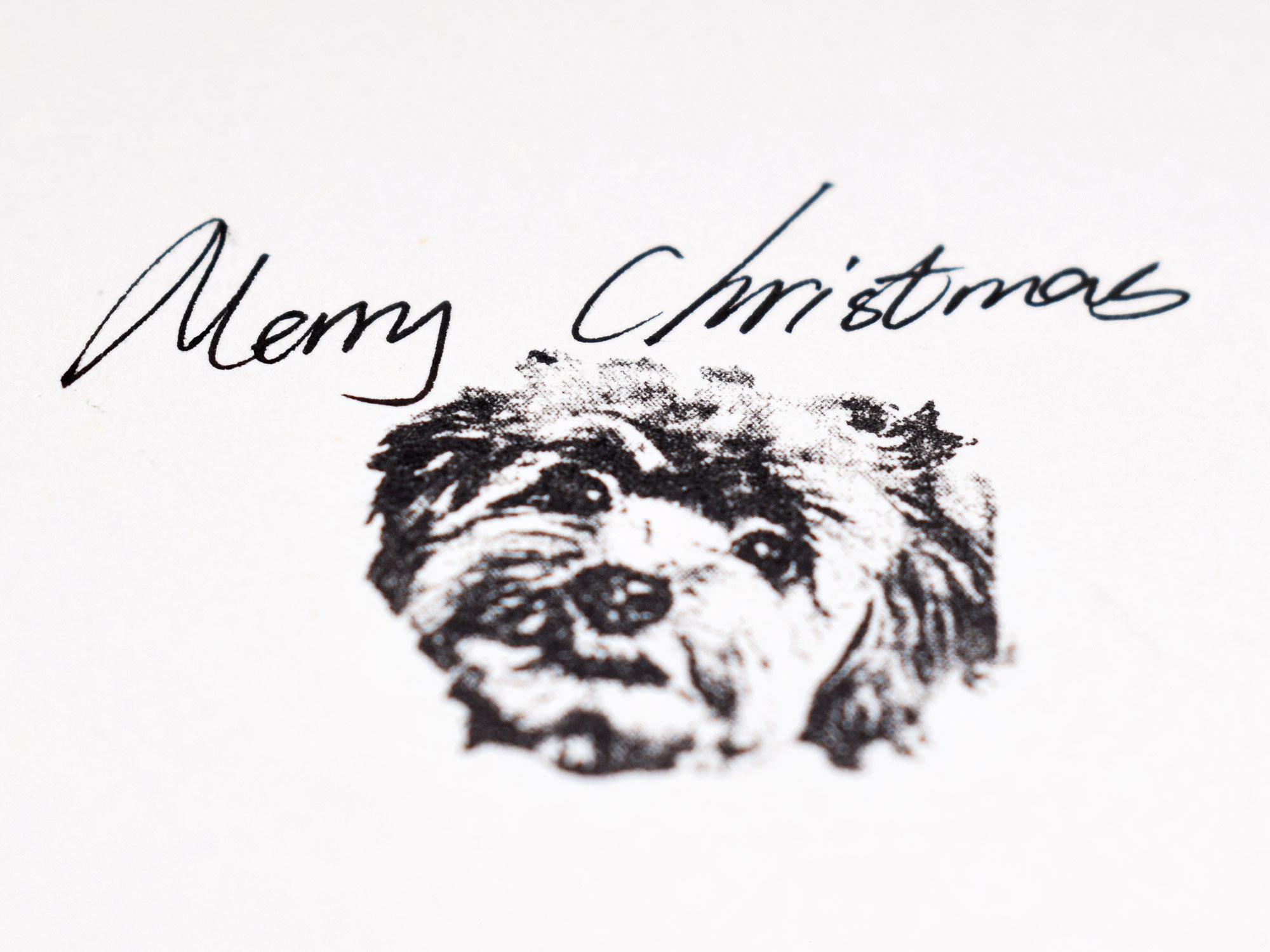 ZezeLife Custom Pet Portrait Stamp, view 6