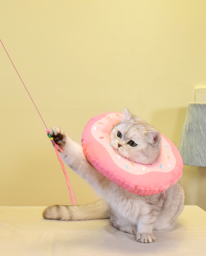 ZezeLife Donut Cat Cone, view 4