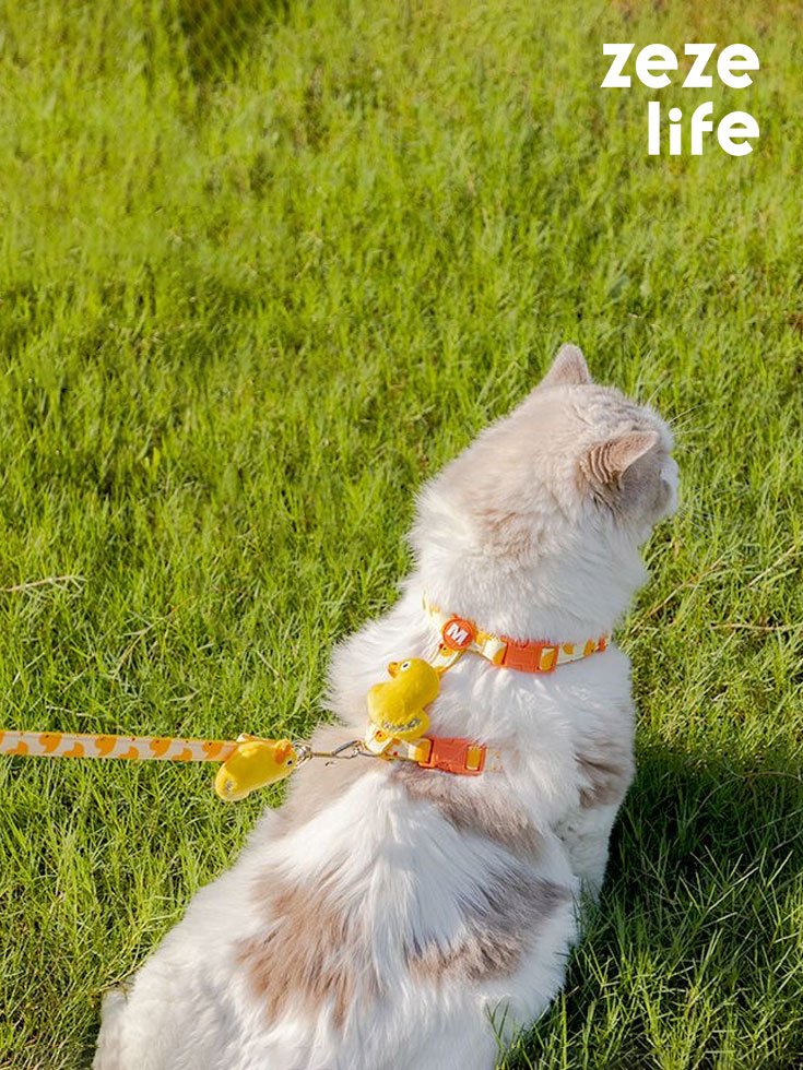 ZezeLife Duck Cat Harness and Leash