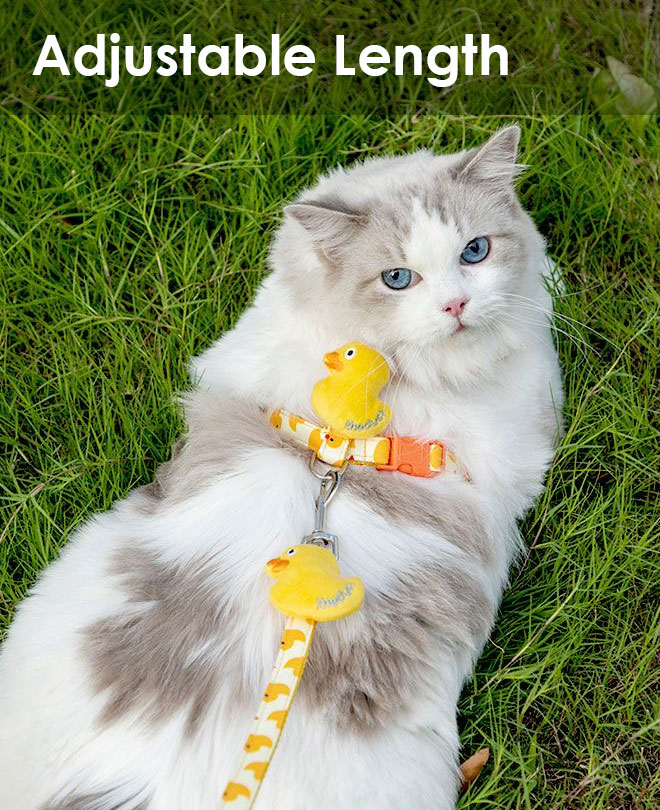 ZezeLife Duck Cat Harness and Leash, view 4